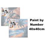Canvas, Paint by Number, 40 x 40cm - Assorted